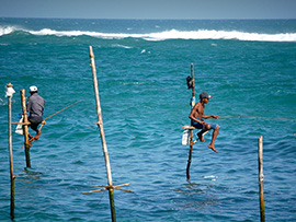 Sri Lanka Sri Lanka