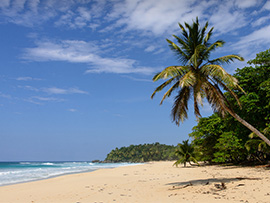 Republica Dominicana Republica Dominicana